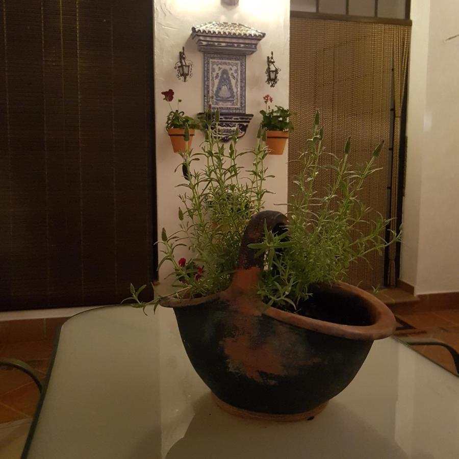 Casa Los Tres Aires El Rocío Екстериор снимка
